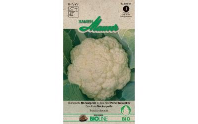 Samen Mauser Blumenkohl Neckarperle
