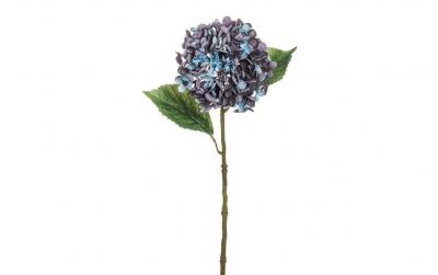 Botanic-Haus Hortensie, Blau, 3er Set