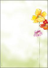 Sigel Motiv-Papier Spring Flowers A4