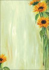 Sigel Motiv-Papier Sunflower A4