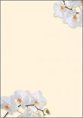 Sigel Motiv-Papier White Orchid A4