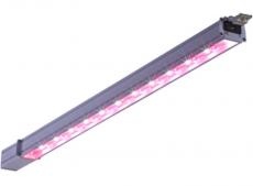 LT - PLANT LED 36W 2800lm