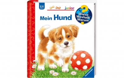 WWWjun41: Mein Hund