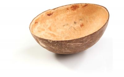 Sier Palm Schüssel oval schräg