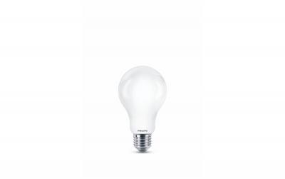 Philips LED Lampe 17.5W (150W)