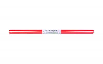 Folia Seidenpapier 20 g/m², 50 x 70 cm