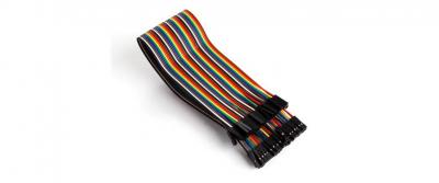 Whadda 40 PINS 30 CM F/F