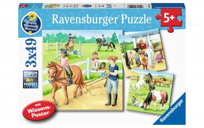 Puzzle Ein Tag auf dem Reiterhof