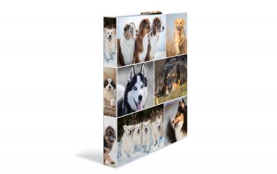 Herma Ringbuch A4 3.5 cm Hunde 4D