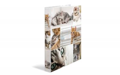 Herma Ringbuch A4 3.5 cm Katzen 4D