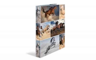 Herma Ringbuch A4 3.5 cm Pferde 2 D