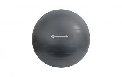 Schildkröt Fitness Gymnastikball