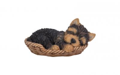 Vivid Arts Yorkshire Terrier Welpe im