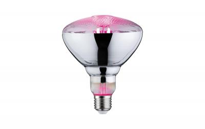 Paulmann Leuchtmittel LED PLANT E27 PAR38