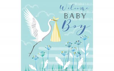 Cart Glückwunschkarte Welcome Baby Boy