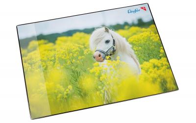 Läufer Schreibunterlage Pferd im Rapsfel