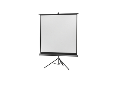 Celexon, Eco Stativ, Leinwand, 1:1