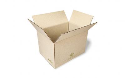 Antalis Versandkarton GrasBox