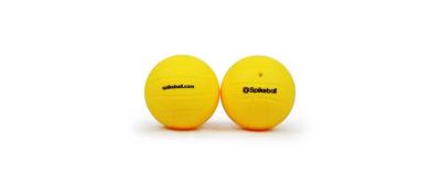 Spikeball Reg Replacement Ball