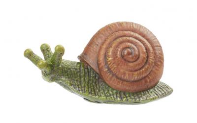 Hobbyfun Mini-Tier Schnecke