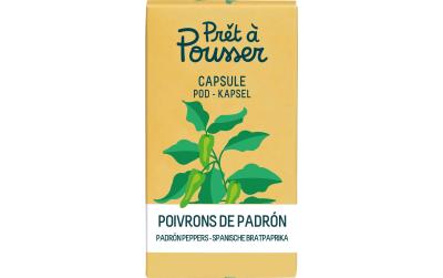 Prêt à Pousser Padron-Paprika