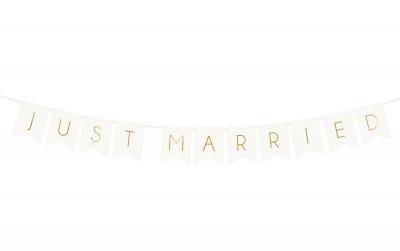 Partydeco Girlande Just Married