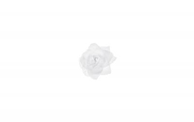 Partydeco AutodekorationRose selbstklebend