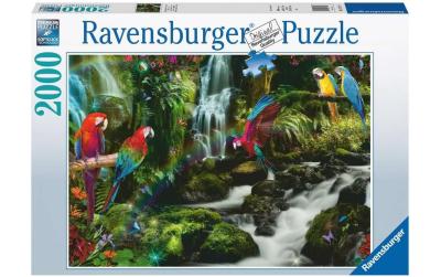 Puzzle Bunte Papageien im Dschungel