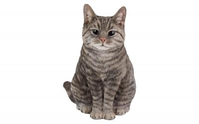 Vivid Arts Katze Tabby, Polyresin