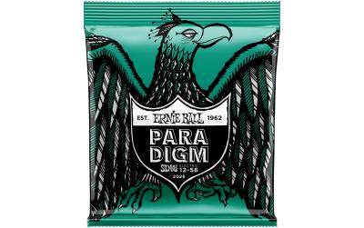 Ernie Ball 2026 Slinky Paradigm