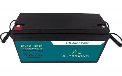 Autarking Philipp Li Batterie 25.6V 120Ah
