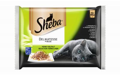 Sheba Delikatesse in Gelee Feine Vielf. KIT