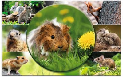 Herma Schreibunterlage Nagetiere
