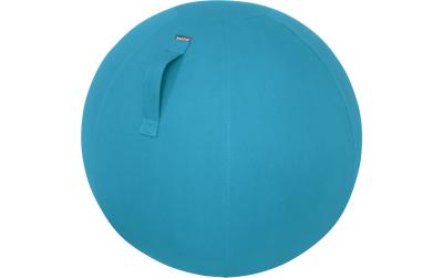 Leitz Sitzball Ergo Cosy