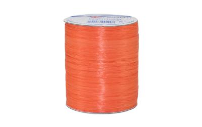 Pattberg Geschenkband Raffia Rayon