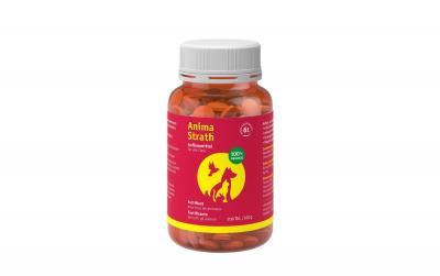 Anima-Strath Aufbautabletten 200 Stk.