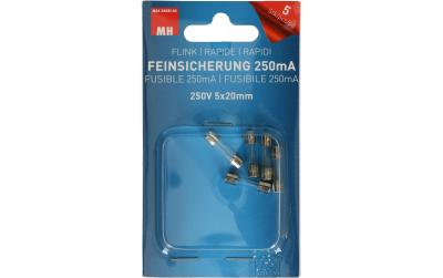 Max Hauri Feinsicherung 250mA 250V 5x20mm