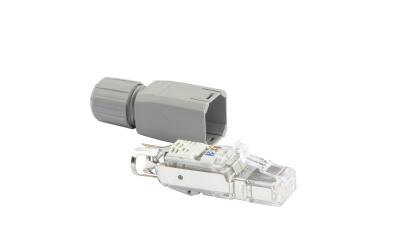 Dätwyler RJ45 Stecker IP20