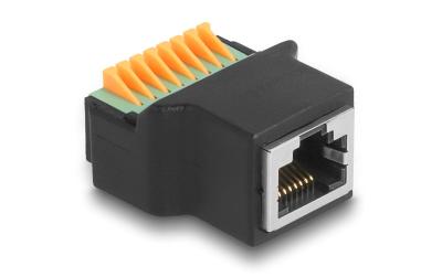 Delock RJ45 Buchse zu Terminalblock