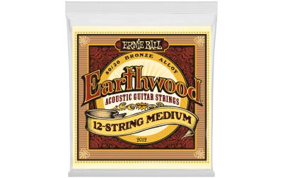 Ernie Ball 2012 Earthwood Bronze