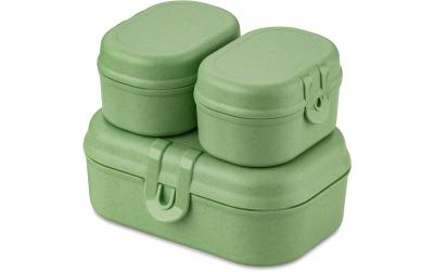 Koziol Lunchbox Pascal ready mini