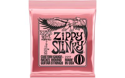 Ernie Ball 2217 Slinky Nickel