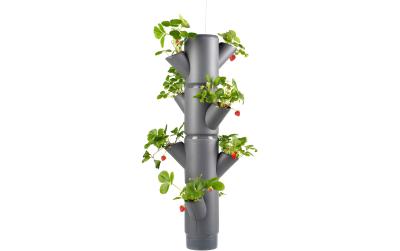 SISSI STRAWBERRY hanging anthrazit