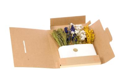 Anjel Trockenblumen-Box, Natur, Gelb-Blau