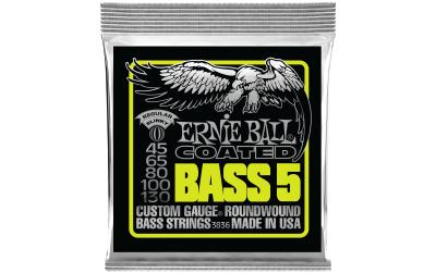 Ernie Ball 3836 Slinky Coated