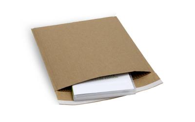 Brieger Papierpolstertaschen