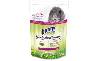 Bunny Kaninchen Traum Senior