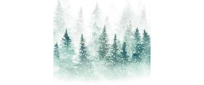 B+C Weihnachtsservietten Winter Idyll