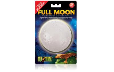 Exo Terra Full Moon