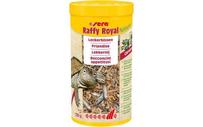sera raffy Royal, Fish Spec
